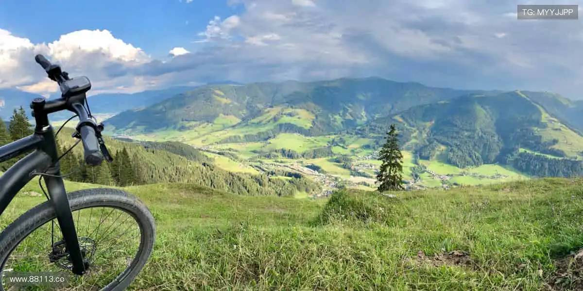 运动不止，装备先行！👟🔧 体育周边，细节决定胜负！